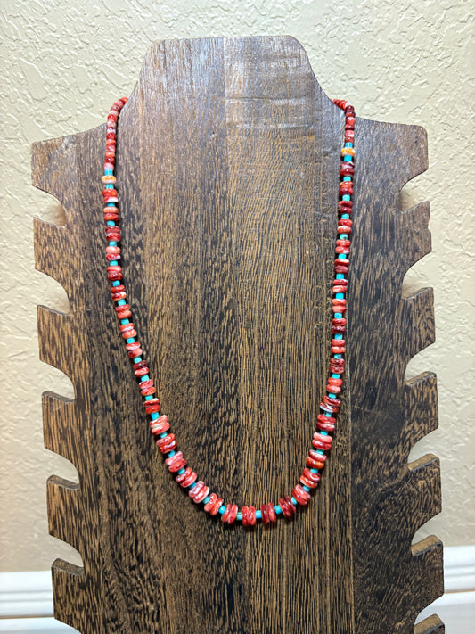 18” Graduated Red Spiny