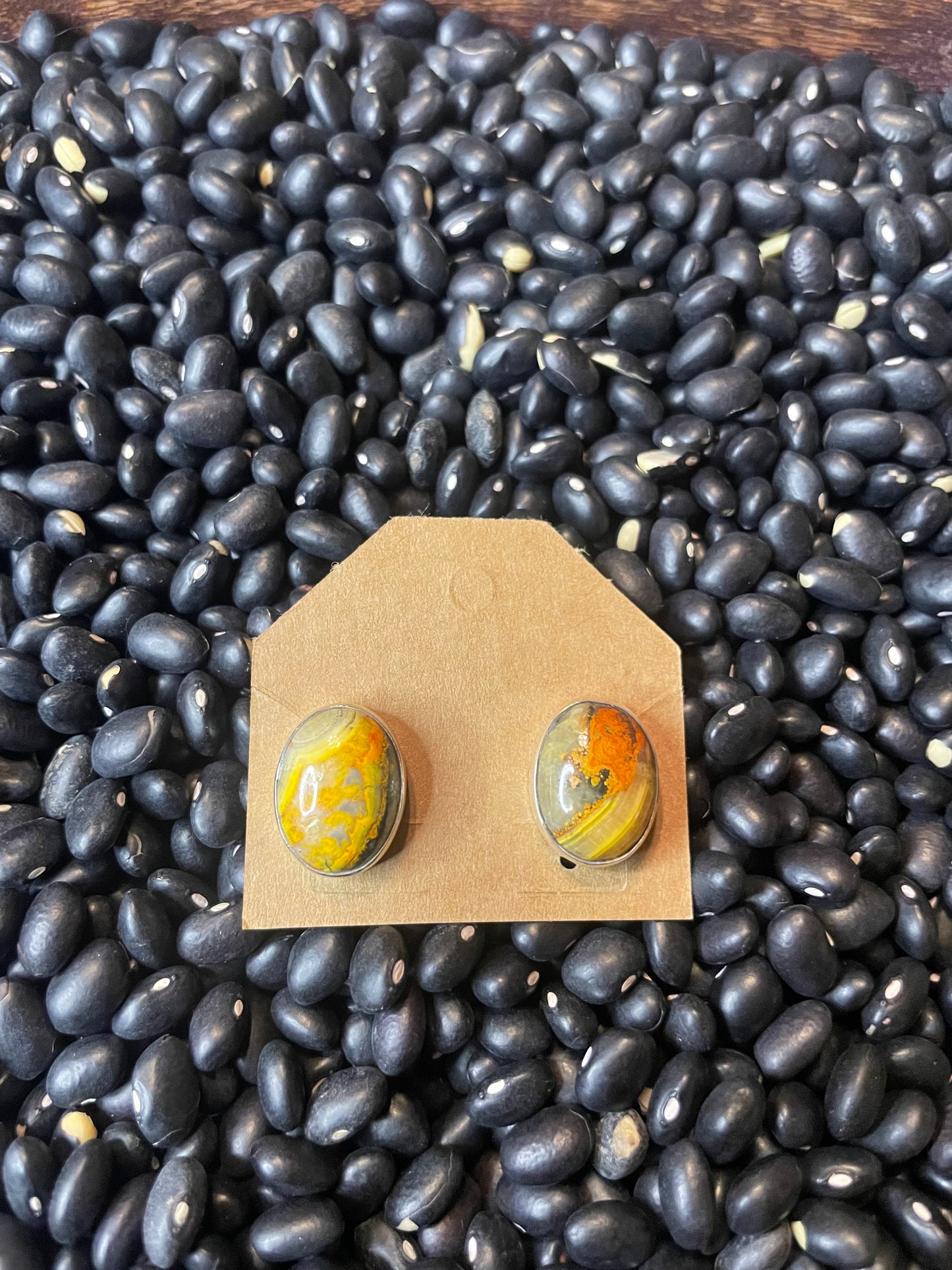 Navajo Handmade Bumblebee Jasper Earrings